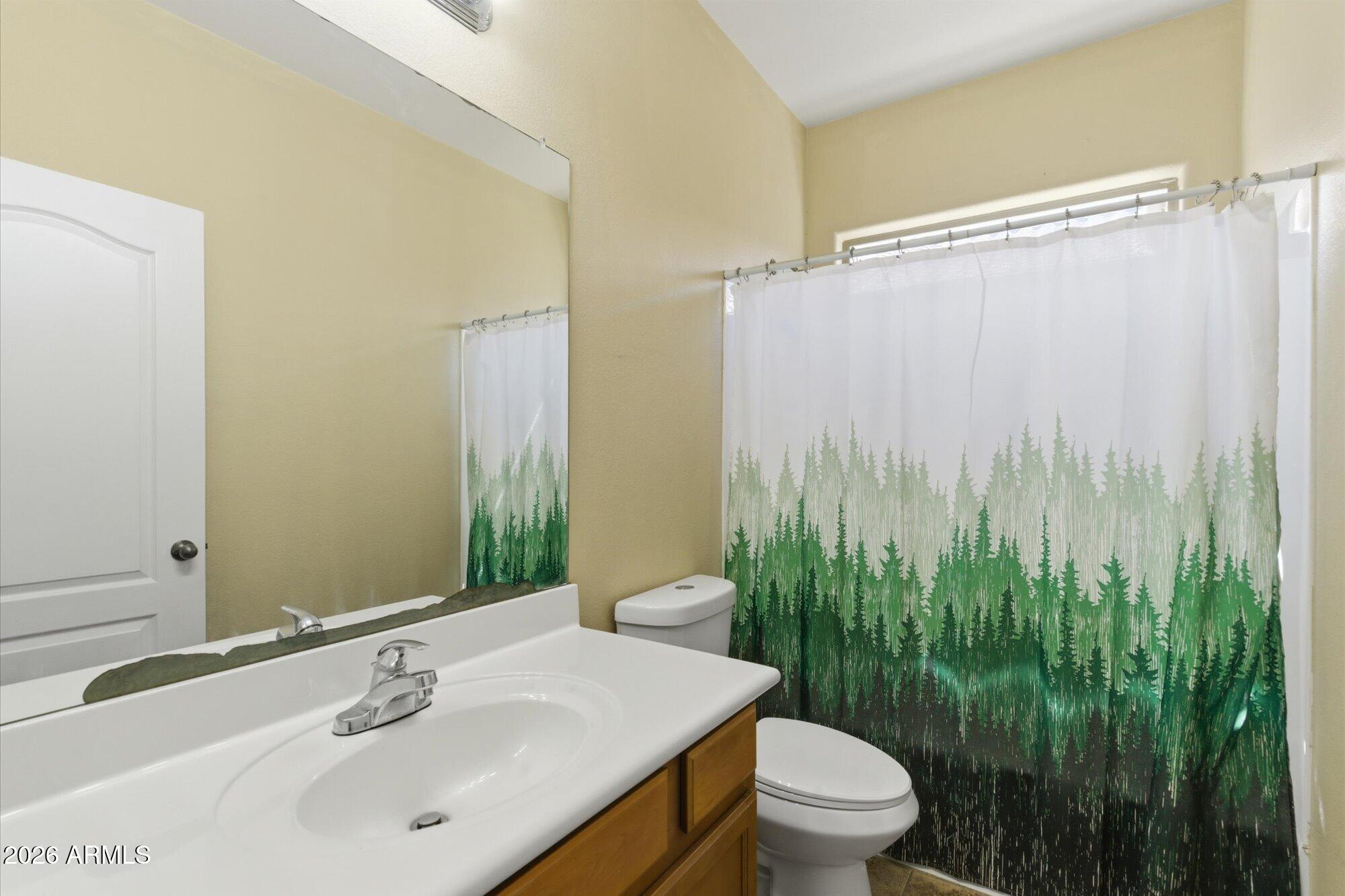 21915 Dietz Drive Maricopa, AZ 85138 - Photo 26 of 31 Downstairs Bathroom