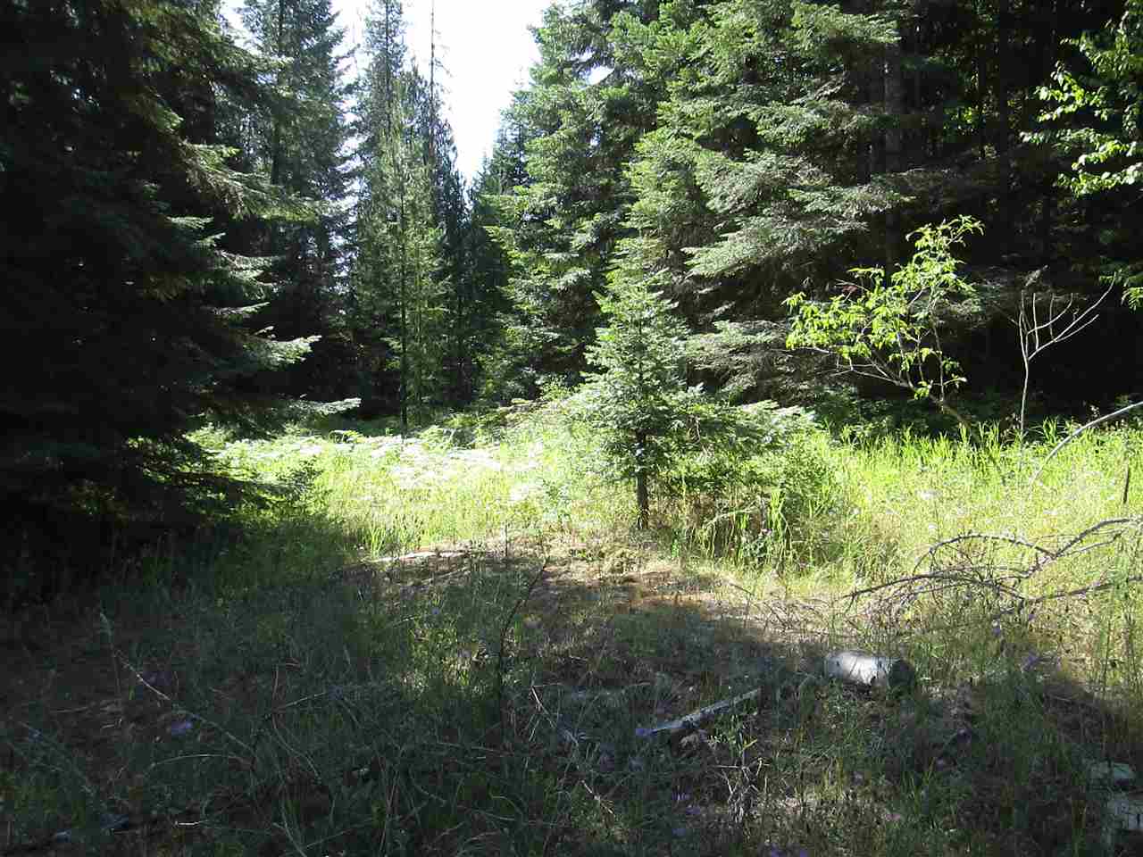 397802 State Rte 20 Cusick, WA 99119 - Photo 12 of 14