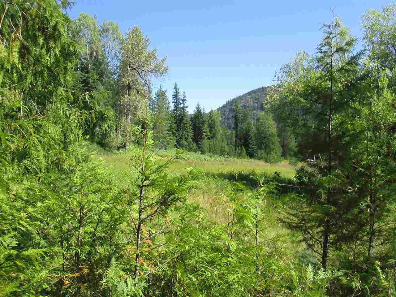 397802 State Rte 20 Cusick, WA 99119 - Photo 4 of 14