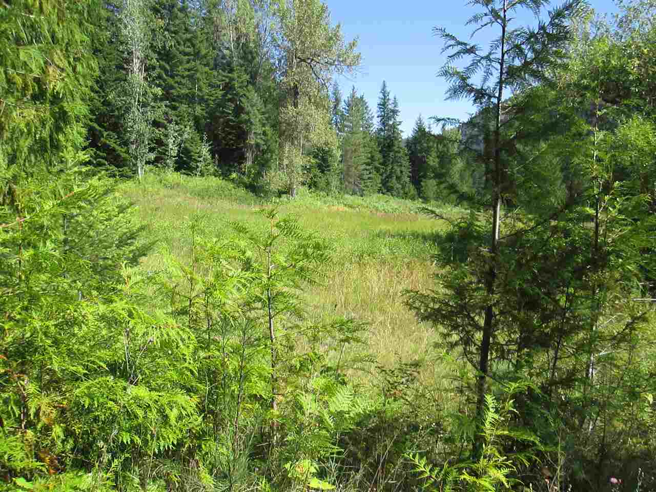 397802 State Rte 20 Cusick, WA 99119 - Photo 5 of 14