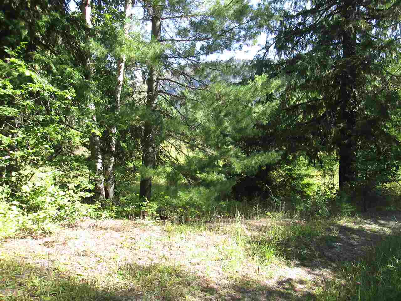 397802 State Rte 20 Cusick, WA 99119 - Photo 7 of 14