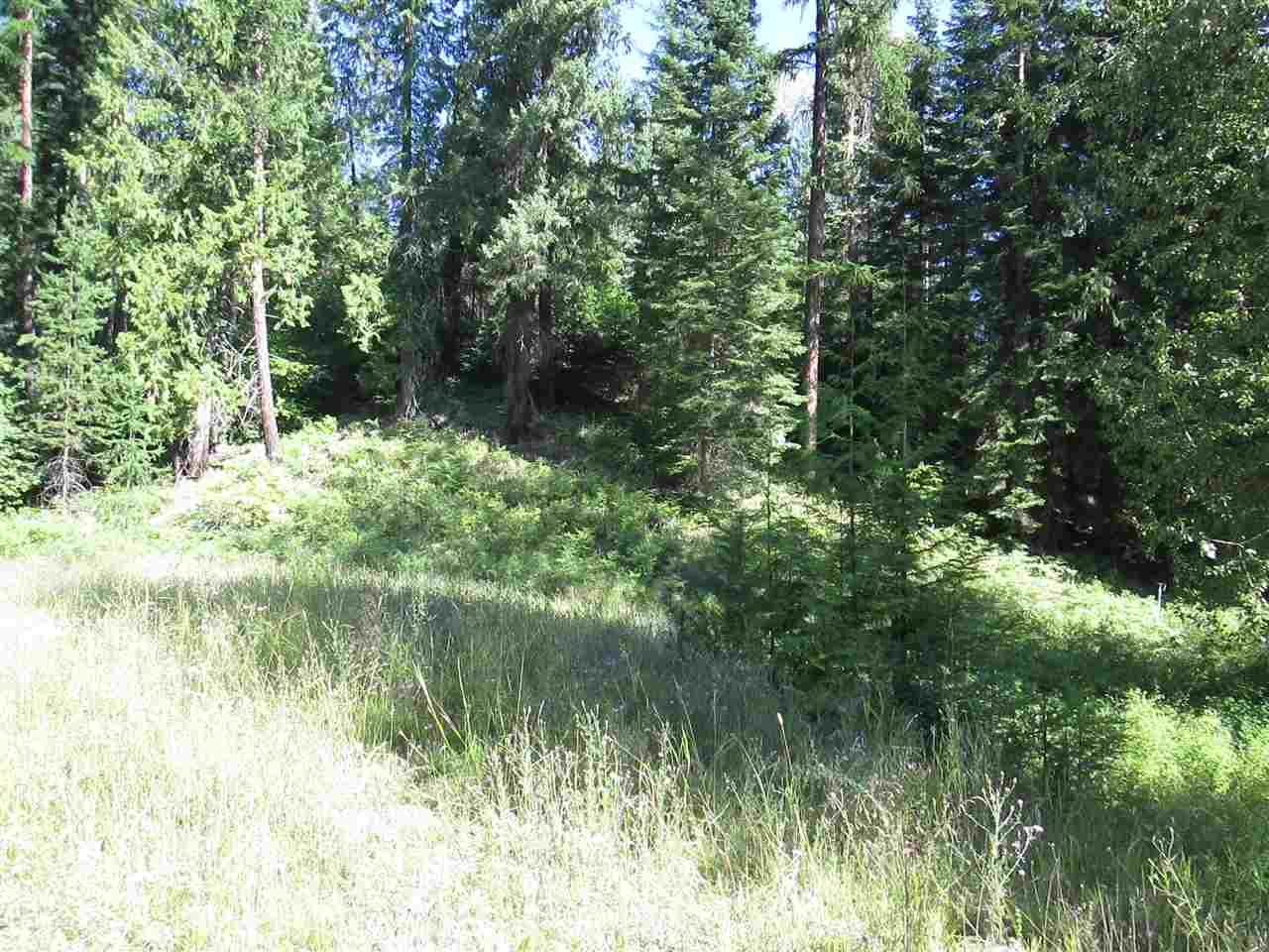 397802 State Rte 20 Cusick, WA 99119 - Photo 10 of 14