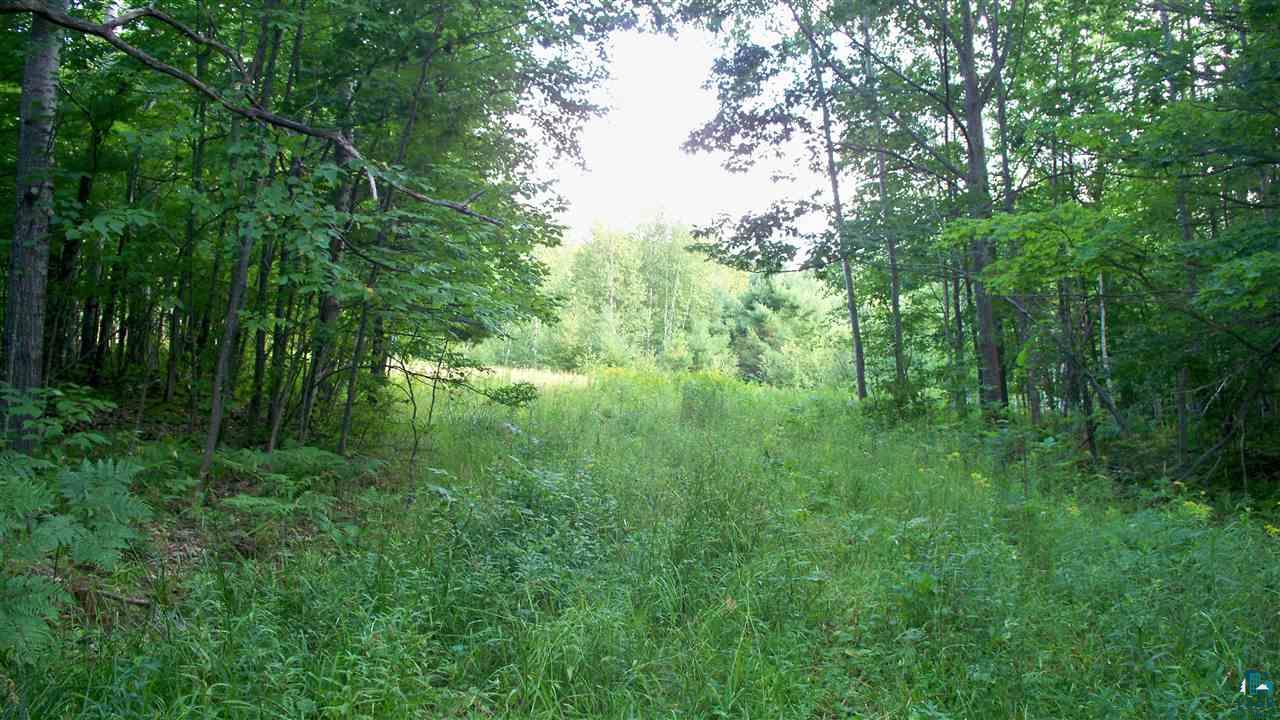 0 Beeksma Road Herbster, WI 54844 - Photo 1 of 12