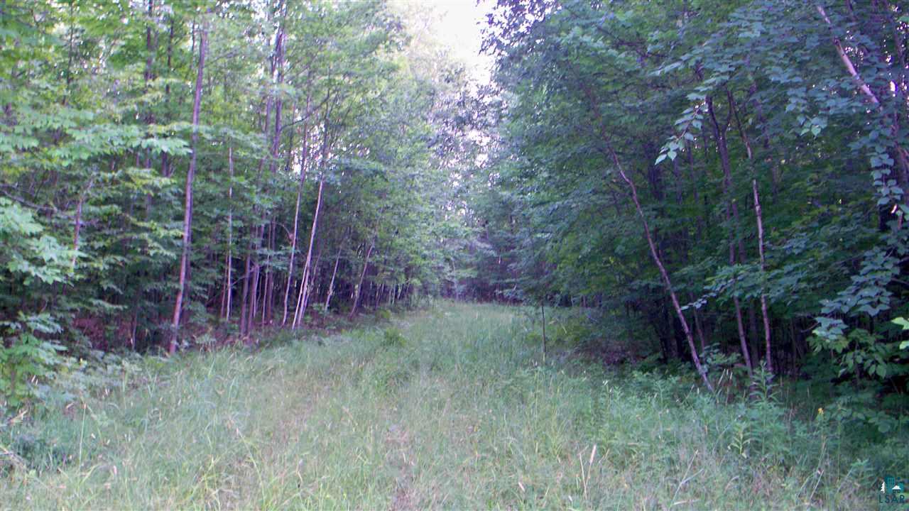 0 Beeksma Road Herbster, WI 54844 - Photo 11 of 12