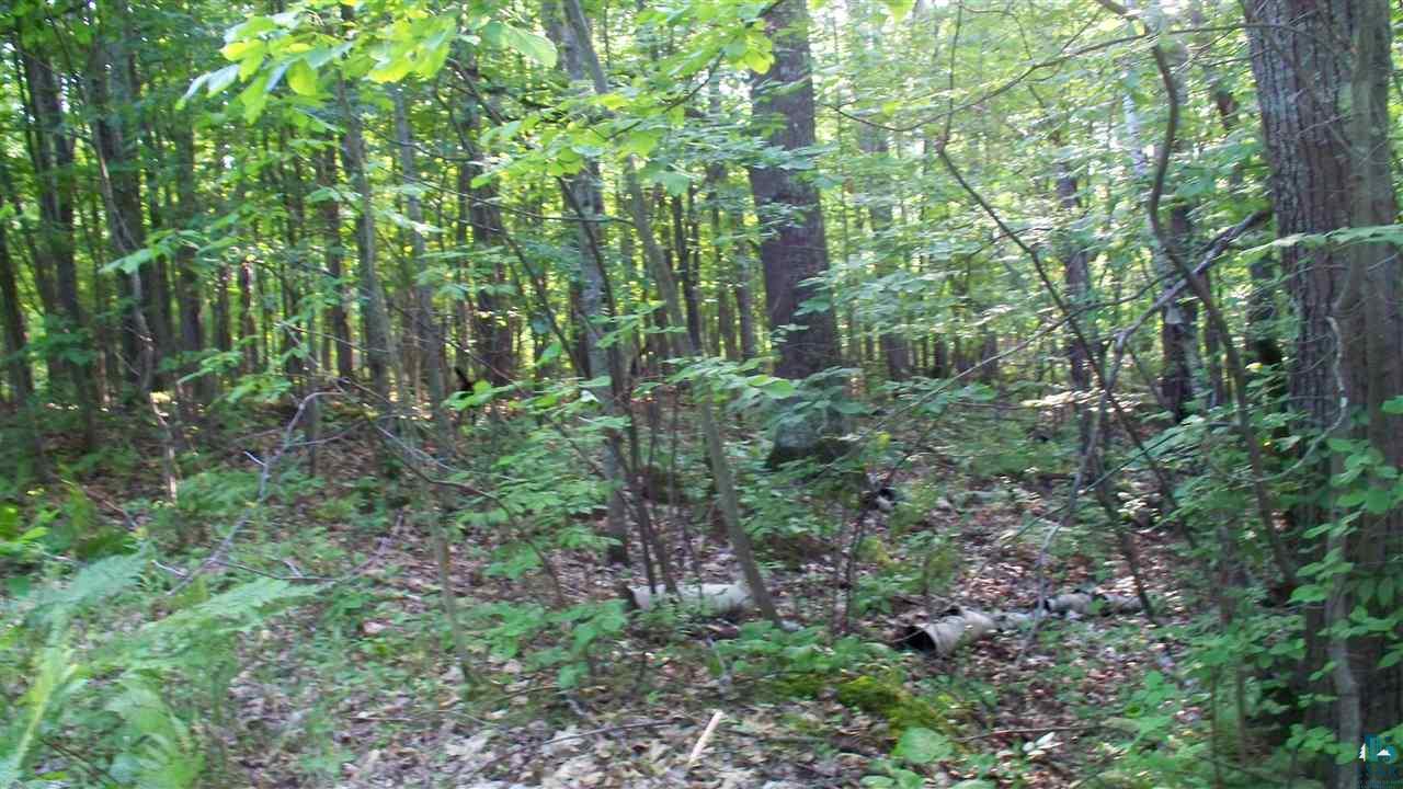 0 Beeksma Road Herbster, WI 54844 - Photo 2 of 12