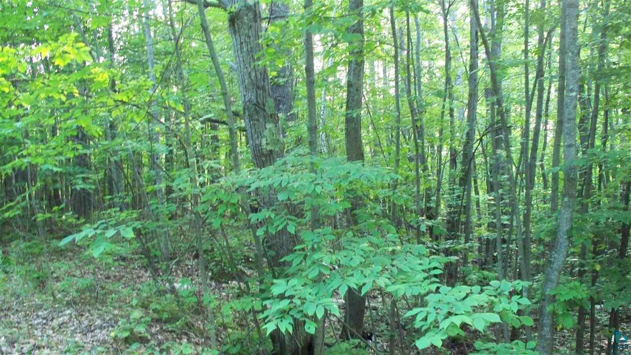 0 Beeksma Road Herbster, WI 54844 - Photo 4 of 12