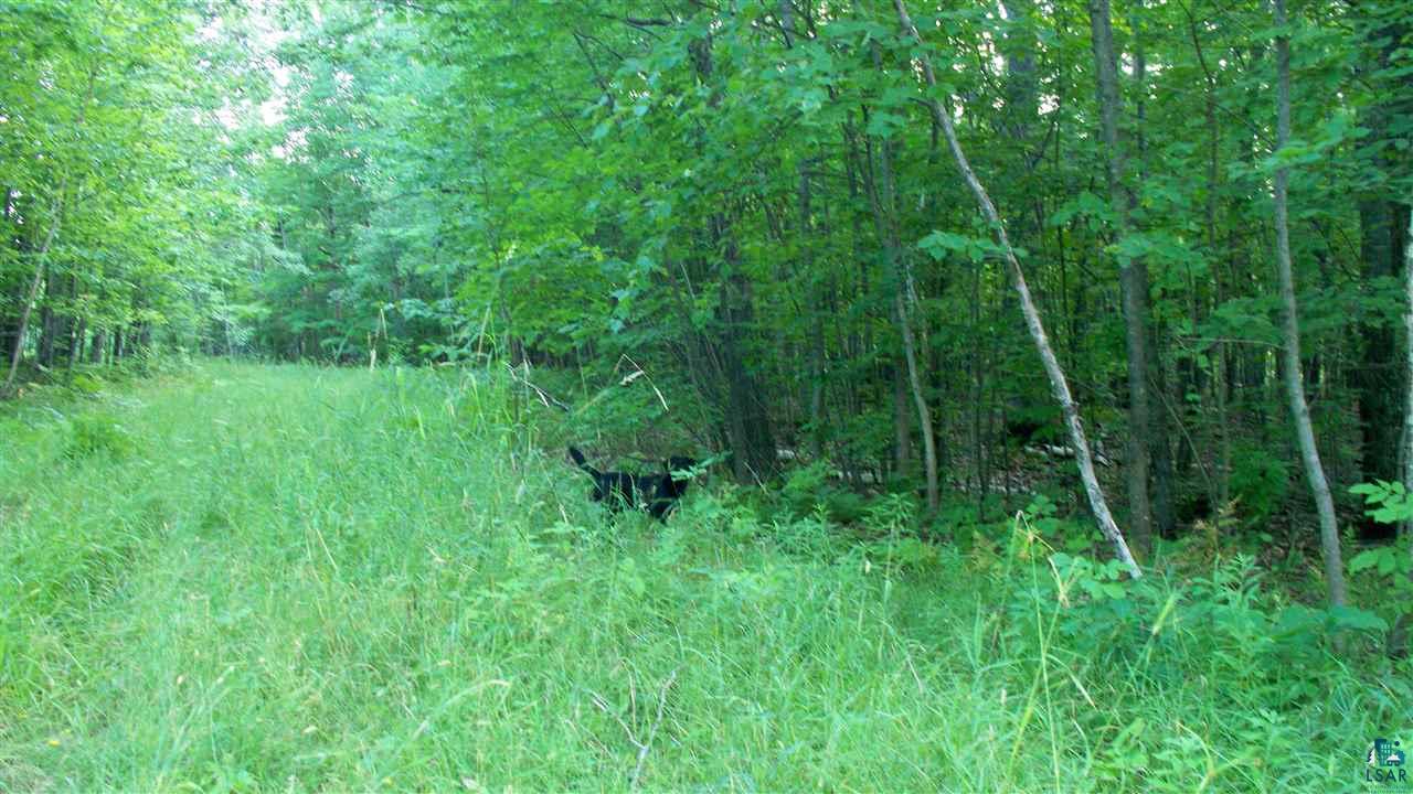 0 Beeksma Road Herbster, WI 54844 - Photo 5 of 12