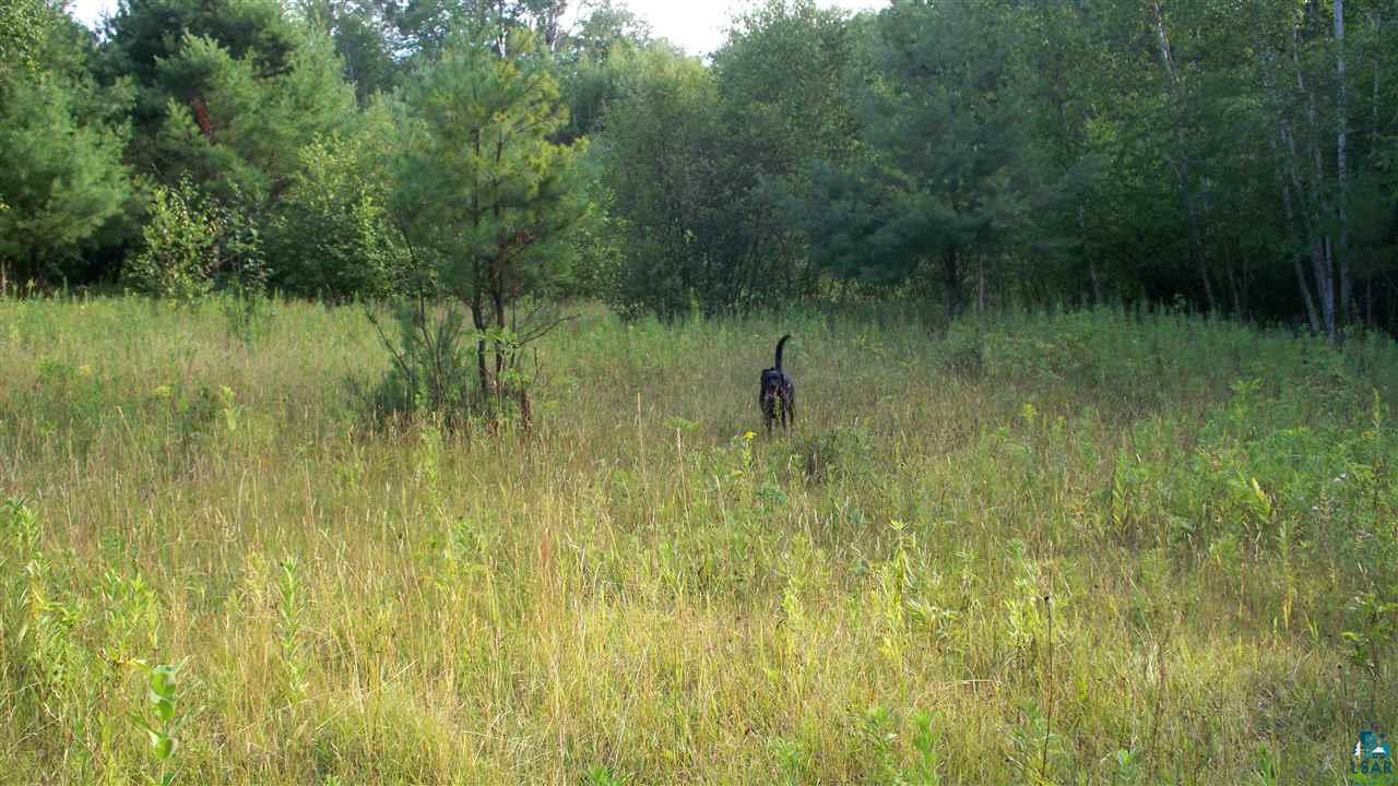 0 Beeksma Road Herbster, WI 54844 - Photo 6 of 12