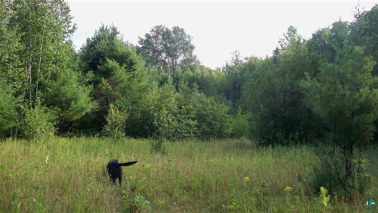0 Beeksma Road Herbster, WI 54844 - Photo 7 of 12