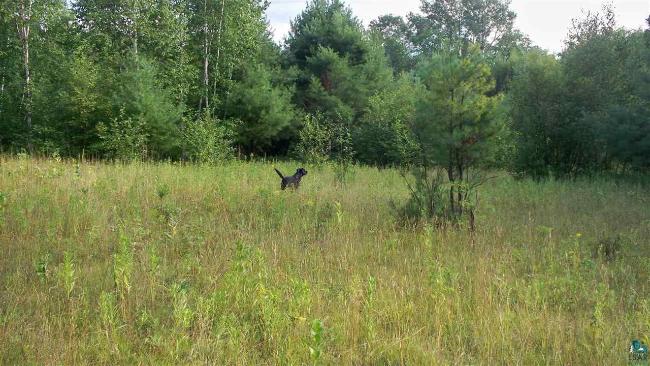 0 Beeksma Road Herbster, WI 54844 - Photo 10 of 12