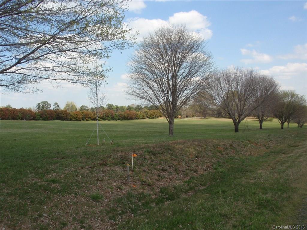 0 Sugar Hill Road, Unit 3 Davidson, NC 28036 - Photo 3 of 5 Gallery Image 3