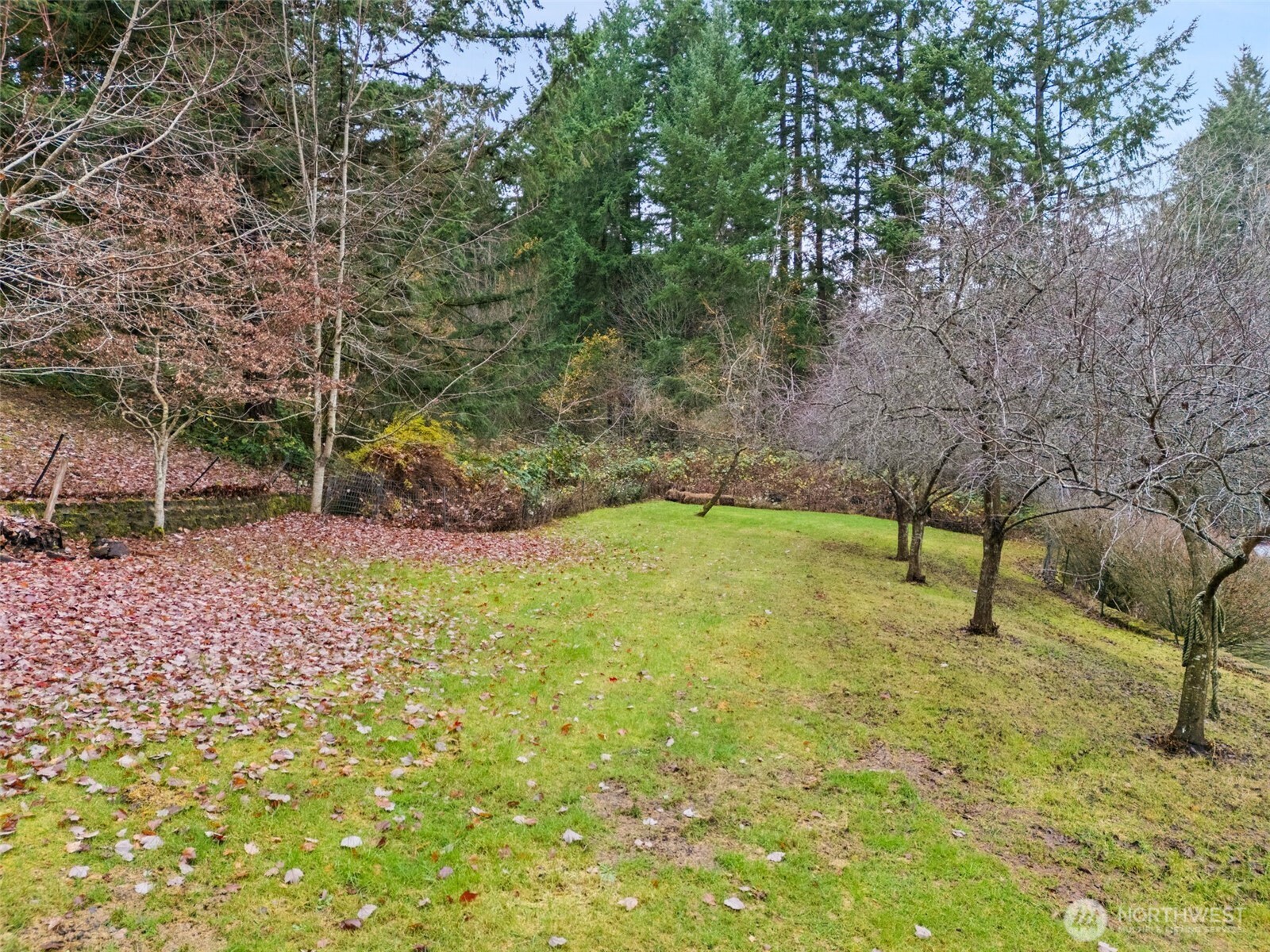 514 Southwest Hipkins Court Port Orchard, WA 98367 - Photo 38 of 39 a view of an outdoor space and yard