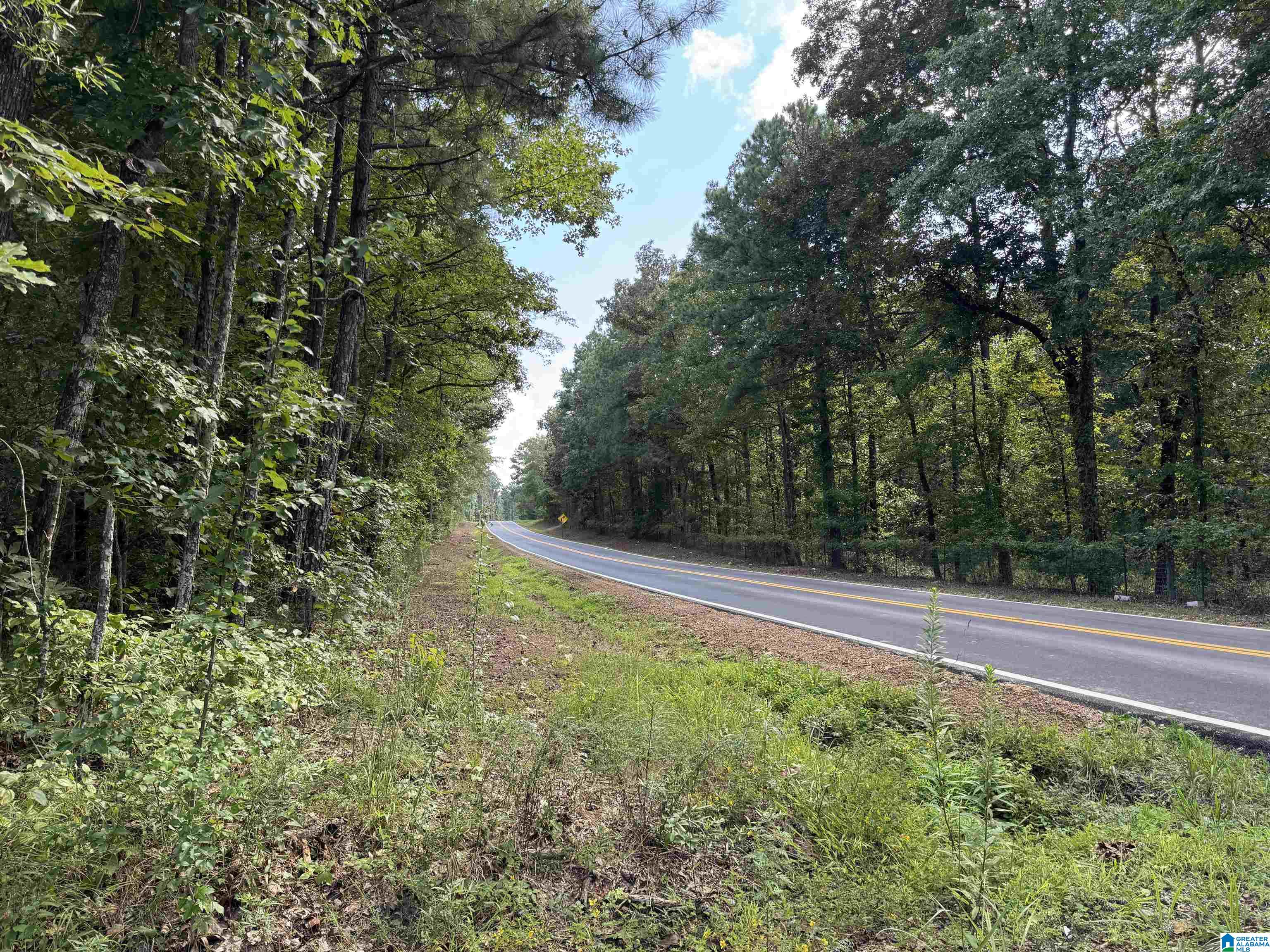 20394 County Road 55 Sterrett, AL 35147 - Photo 36 of 43