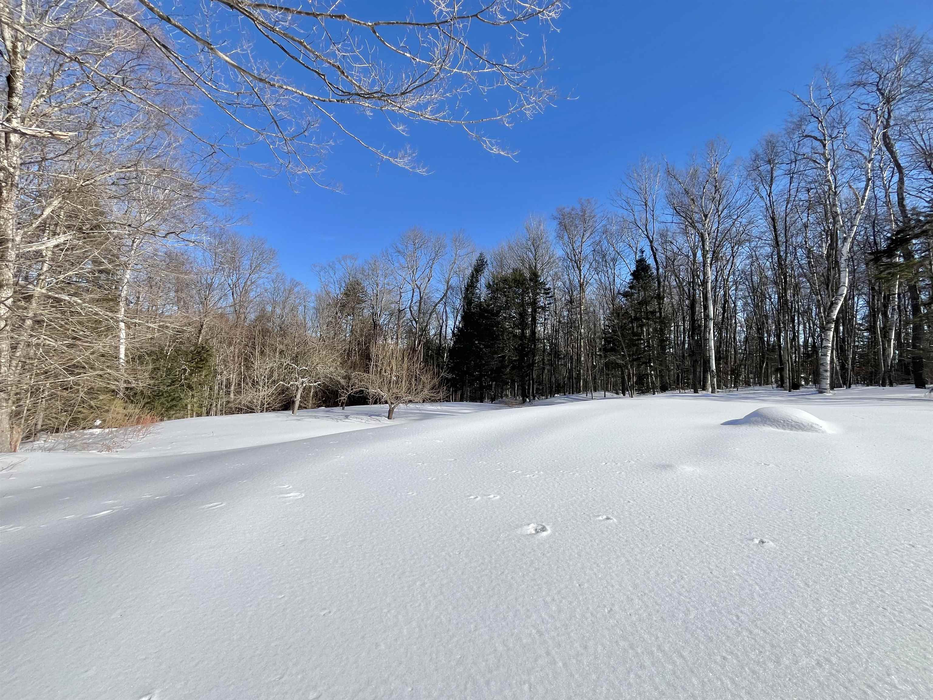 1858 King Hill Road Readsboro, VT 05350 - Photo 31 of 42