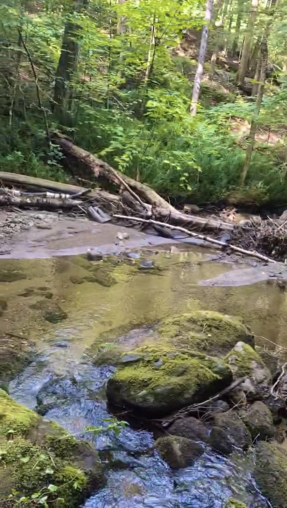 1858 King Hill Road Readsboro, VT 05350 - Photo 40 of 42