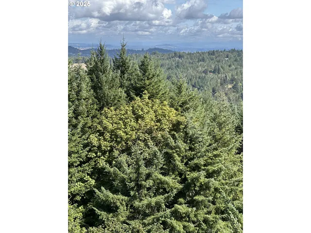 $475,000 | 0 Northwest Wynoochee Drive, Corvallis, OR 97330