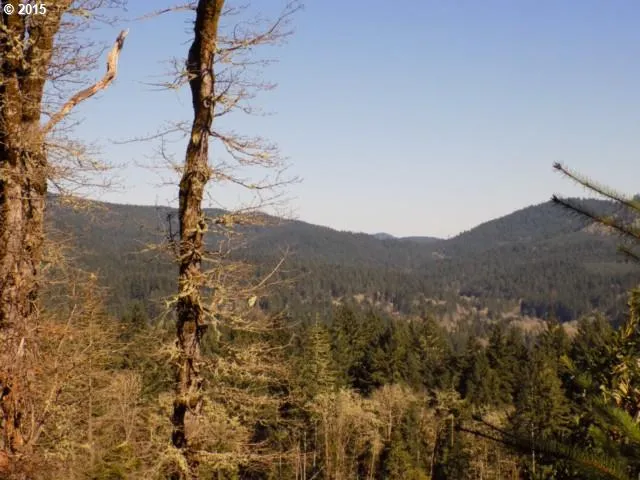 $475,000 | 0 Northwest Wynoochee Drive, Corvallis, OR 97330