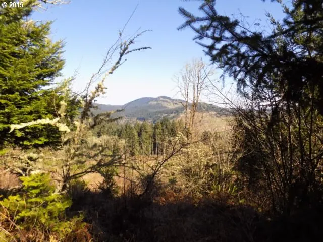 $475,000 | 0 Northwest Wynoochee Drive, Corvallis, OR 97330