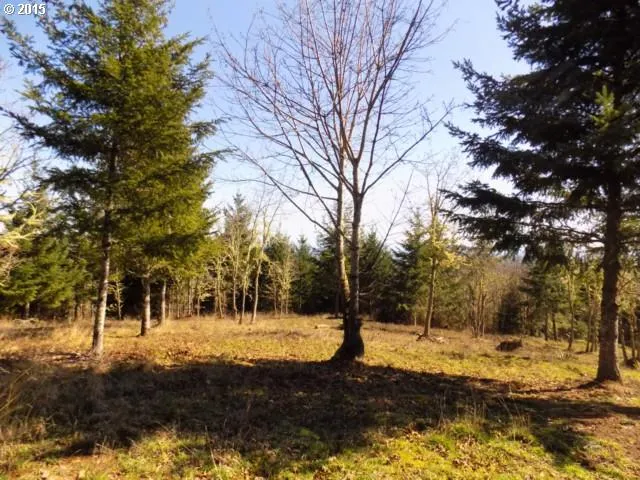 $475,000 | 0 Northwest Wynoochee Drive, Corvallis, OR 97330