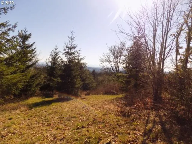 $475,000 | 0 Northwest Wynoochee Drive, Corvallis, OR 97330