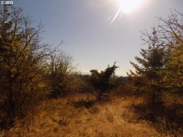 $475,000 | 0 Northwest Wynoochee Drive, Corvallis, OR 97330