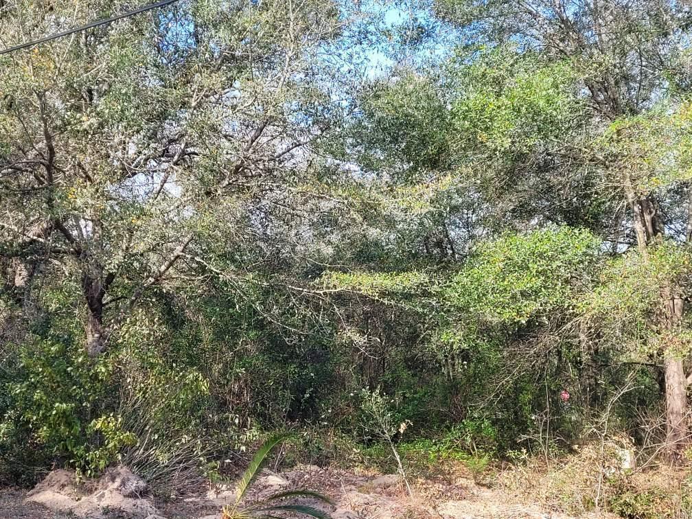 5032 Campground Road Milton, FL 32583 - Photo 23 of 26
