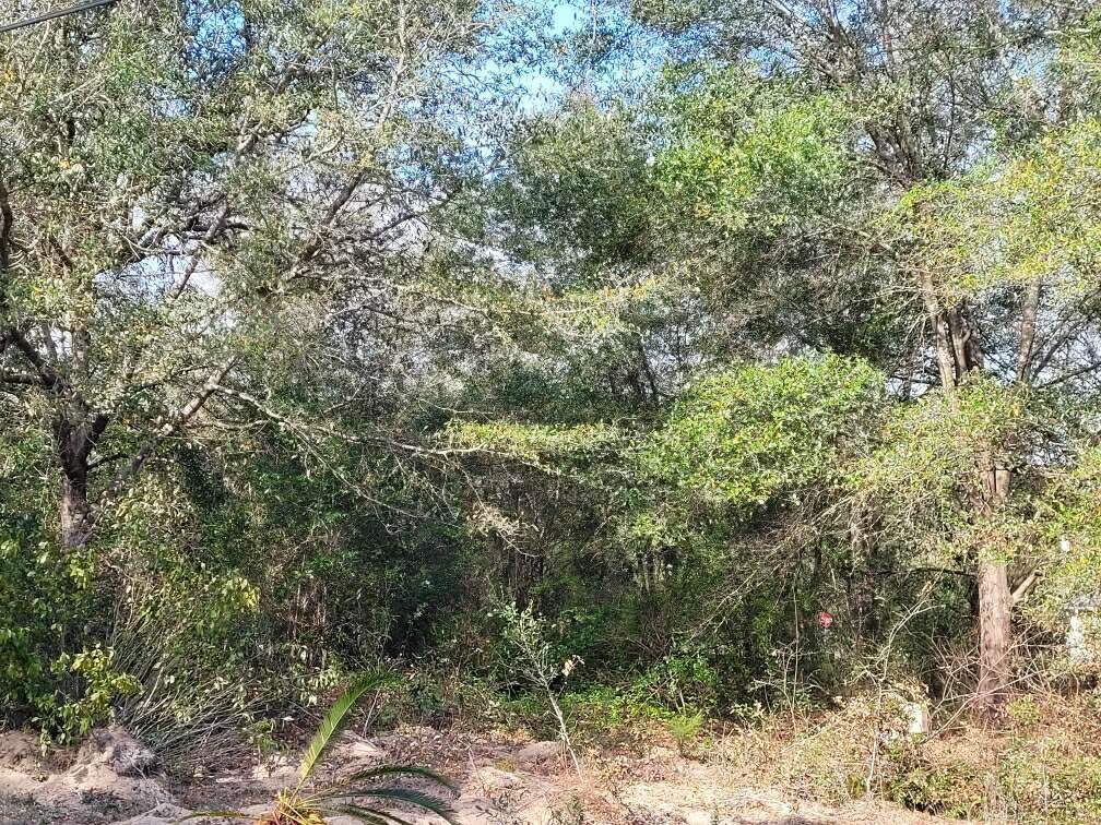 5032 Campground Road Milton, FL 32583 - Photo 24 of 26