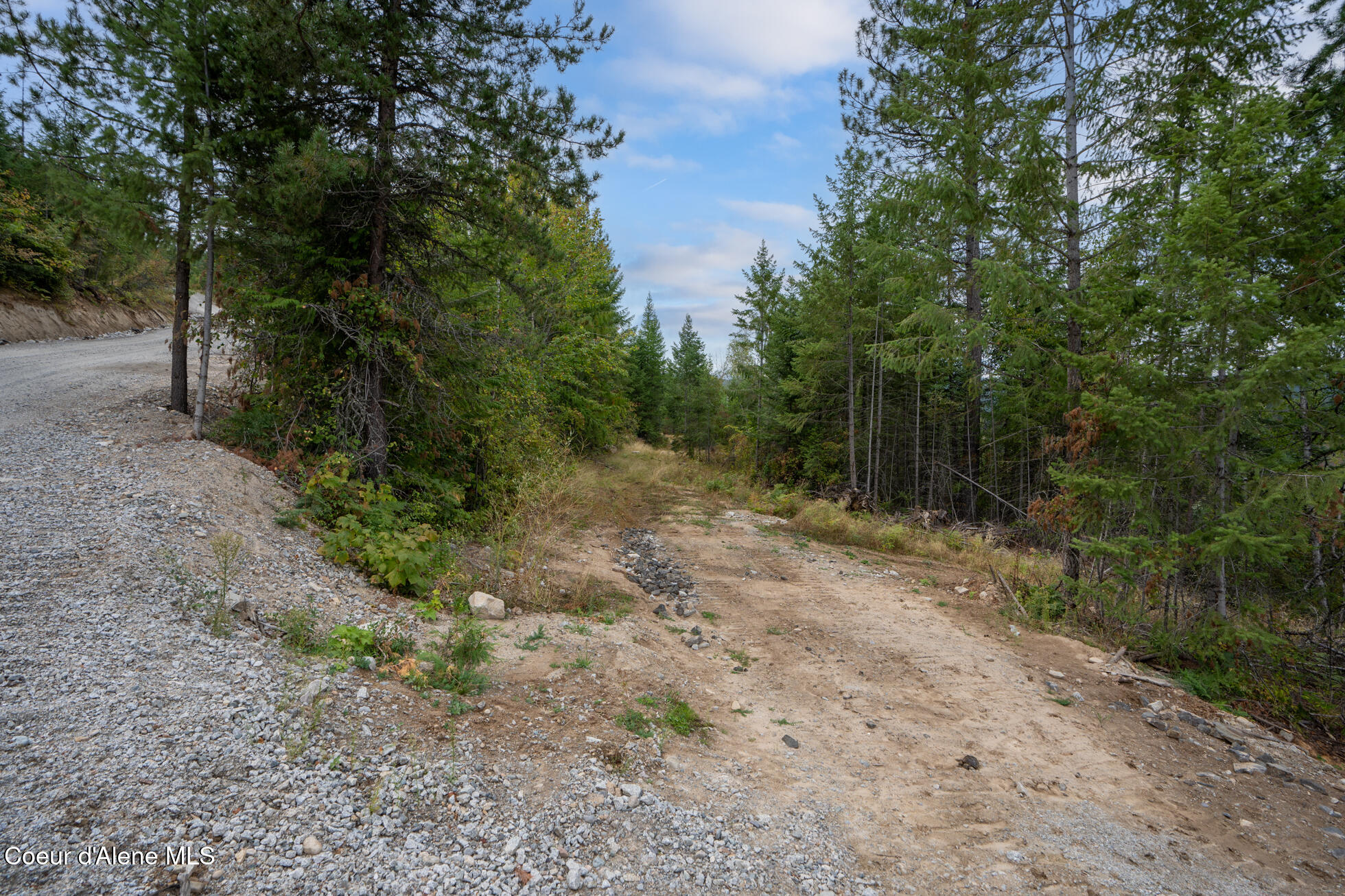 220 Hawkwind Trail Cocolalla, ID 83813 - Photo 4 of 9 Ext 2