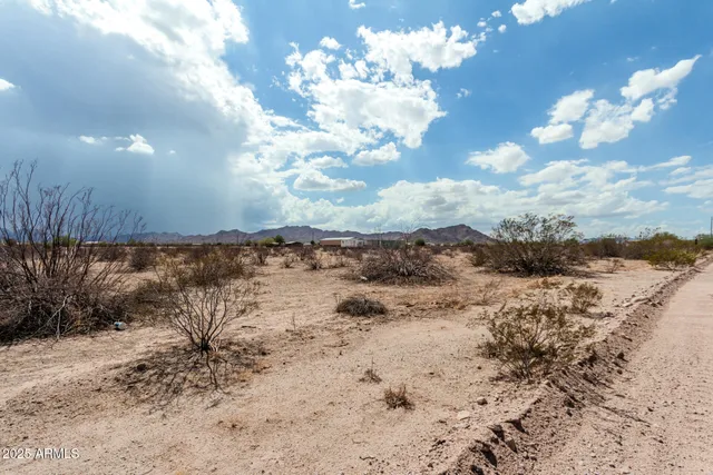 a view of a dry yard with wooden fence