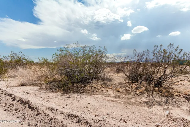 a view of a dry yard covered with snow in the background