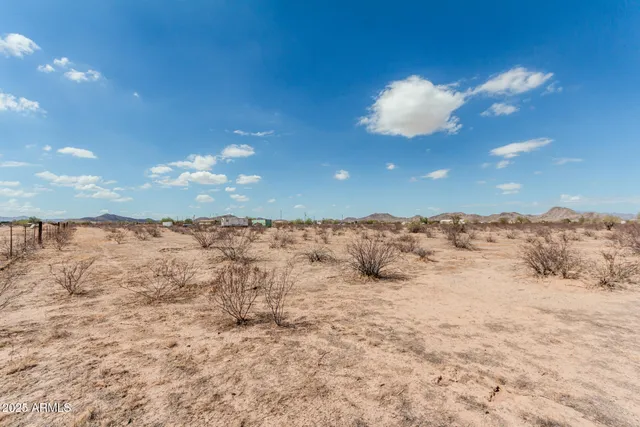 a view of a dry yard