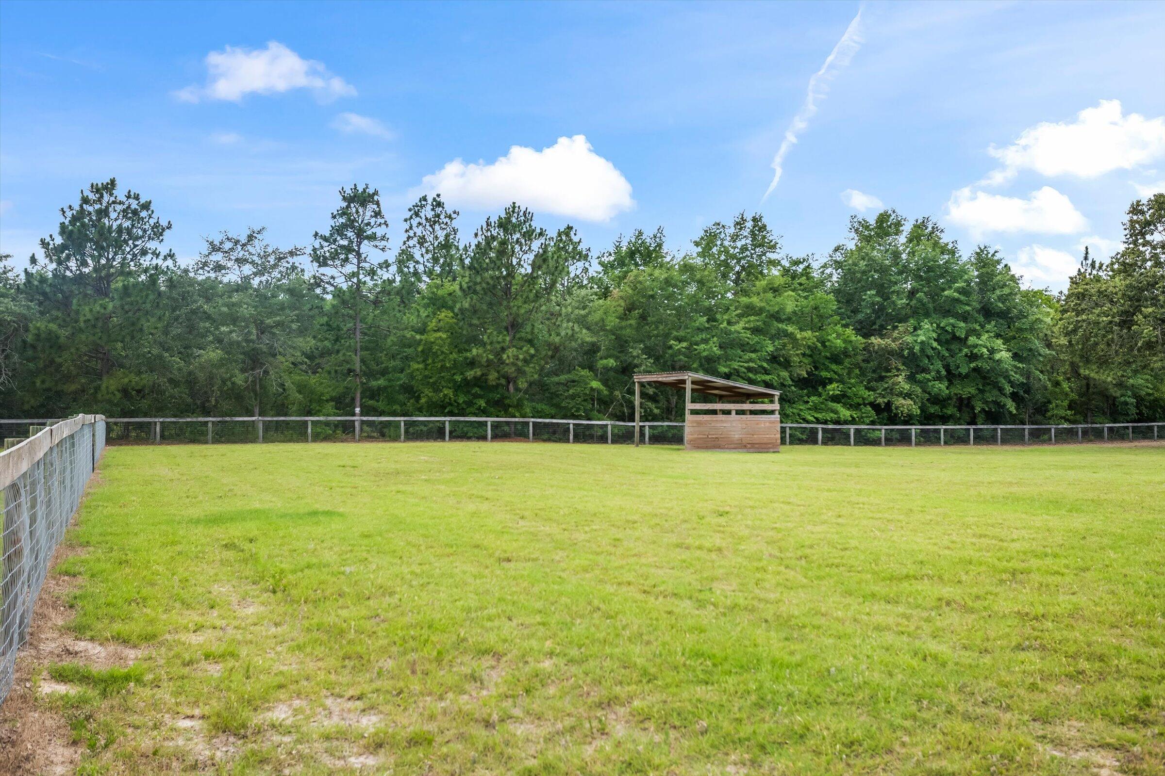 1178 Weeks Road Williston, SC 29853 - Photo 69 of 72