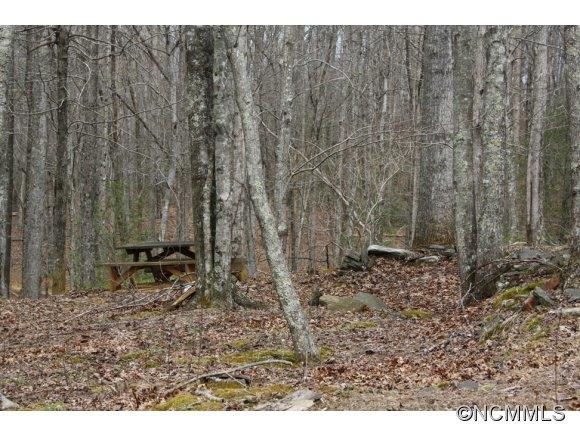 508 Hanging Rock Road Saluda, NC 28773 - Photo 20 of 22 Gallery Image 20