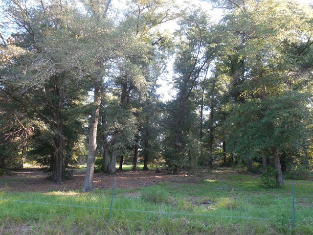 4711 McCombs Road Hephzibah, GA 30815 - Photo 3 of 5