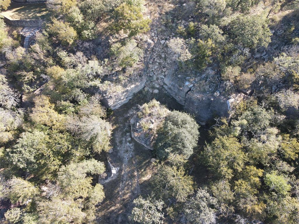 Lot 113 Ridgeline Drive Chico, TX 76431 - Photo 16 of 16 a picture of tree