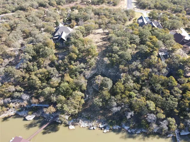 a close up of a tree