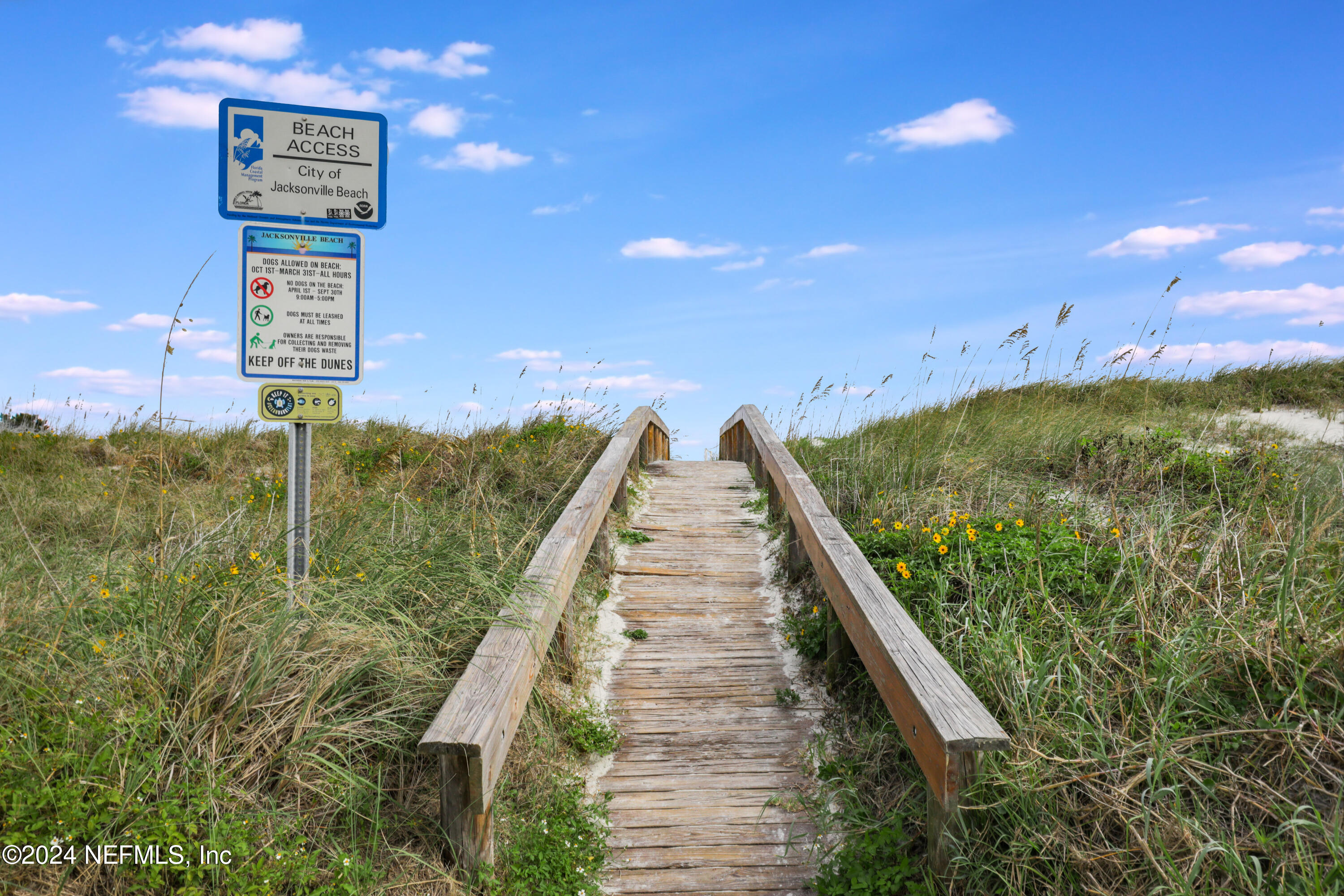 3917 Eunice Road Jacksonville, FL 32250 - Photo 54 of 71 49 Public Beach Access