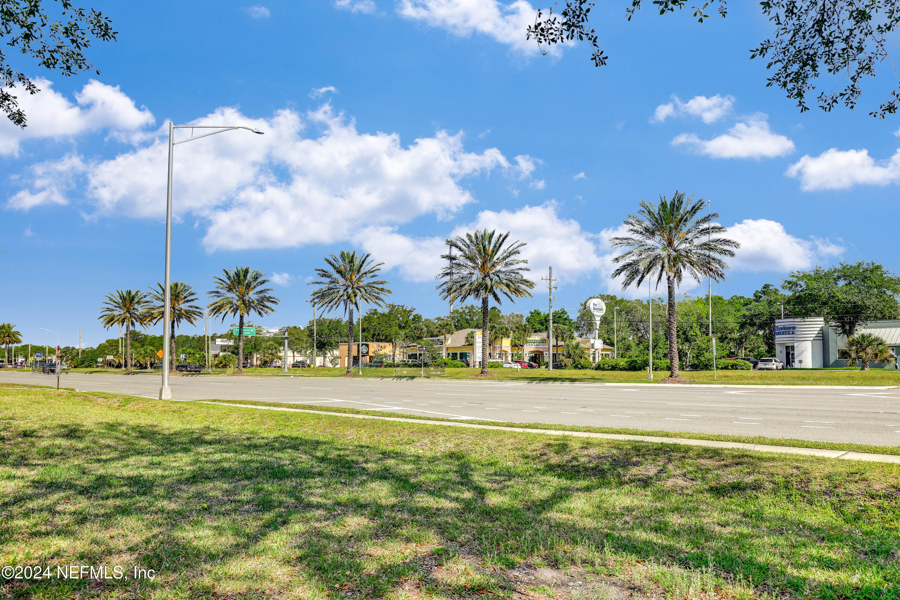 3917 Eunice Road Jacksonville, FL 32250 - Photo 58 of 71 a view of a yard with palm trees