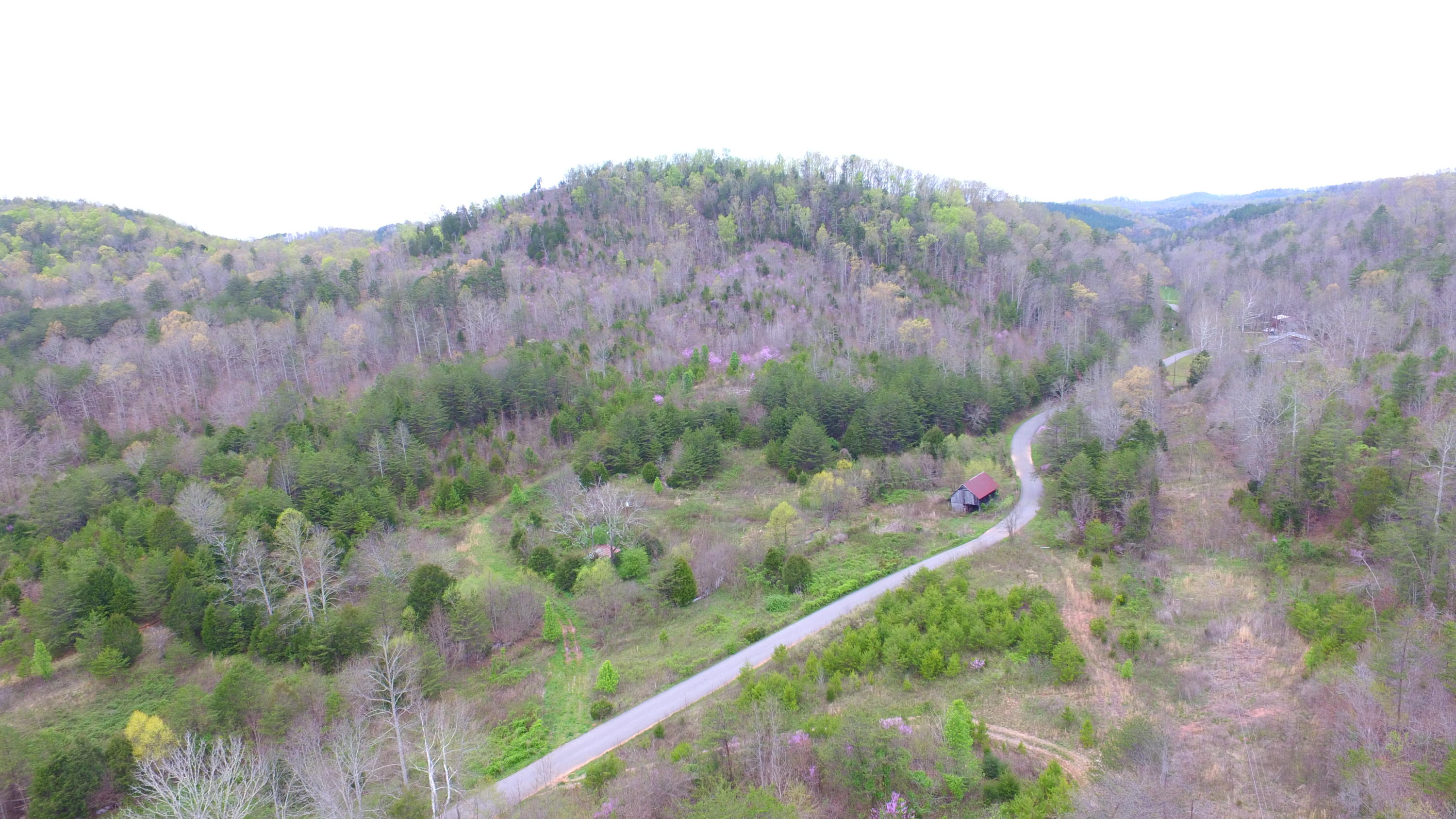 455 Three Point Road Vonore, TN 37885 - Photo 2 of 32 DJI_0036