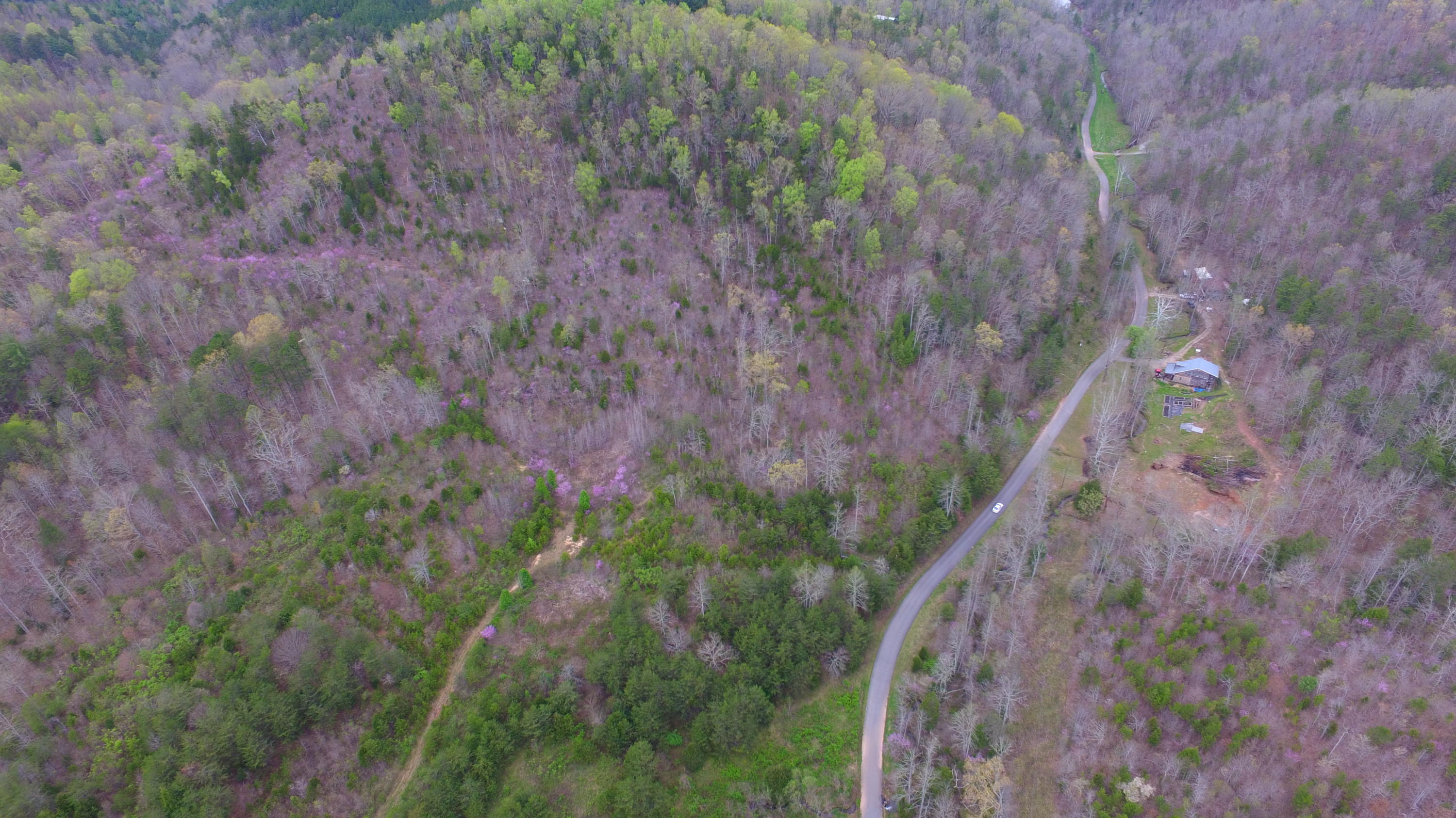 455 Three Point Road Vonore, TN 37885 - Photo 12 of 32 DJI_0053