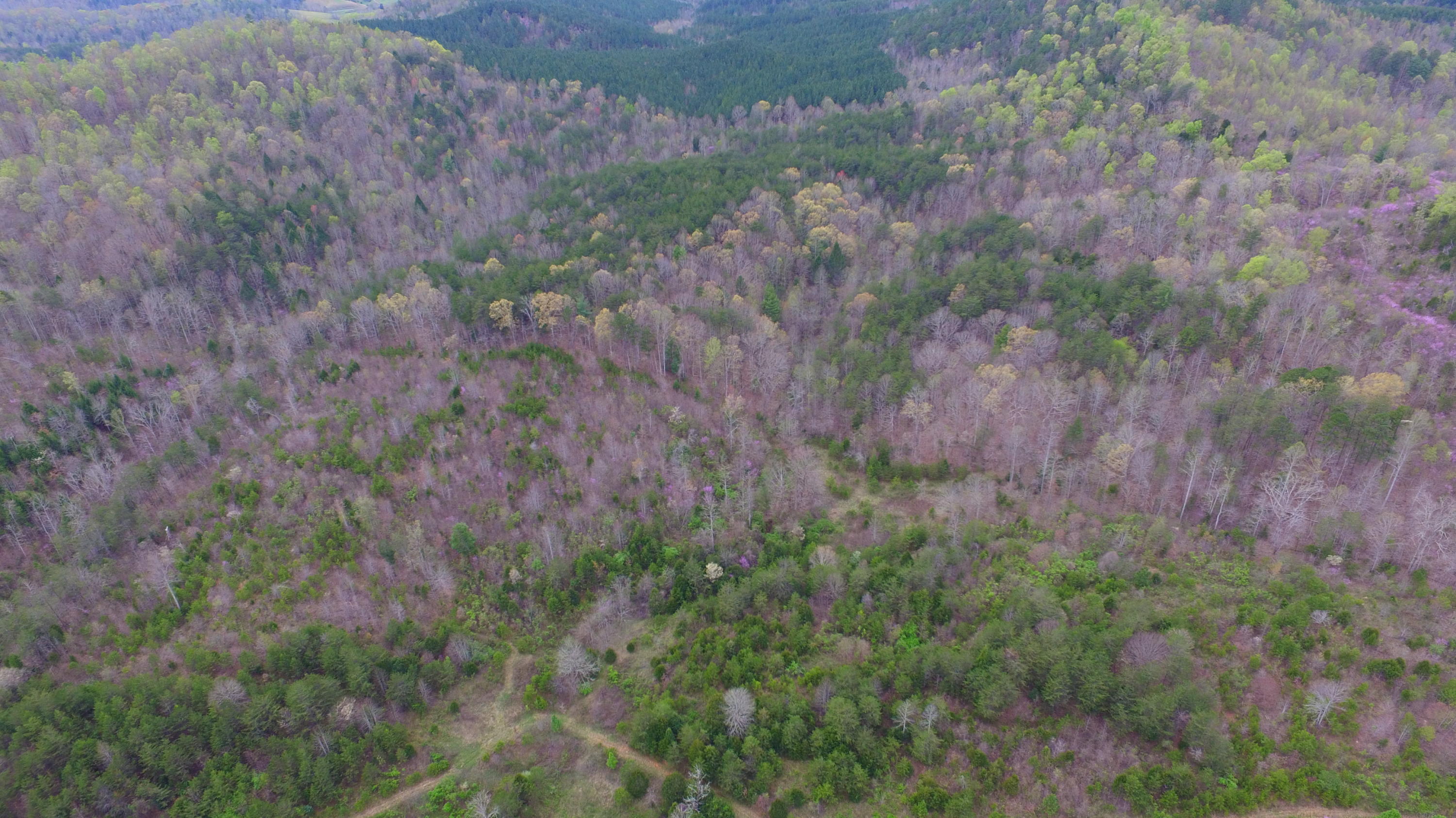 455 Three Point Road Vonore, TN 37885 - Photo 13 of 32 DJI_0054