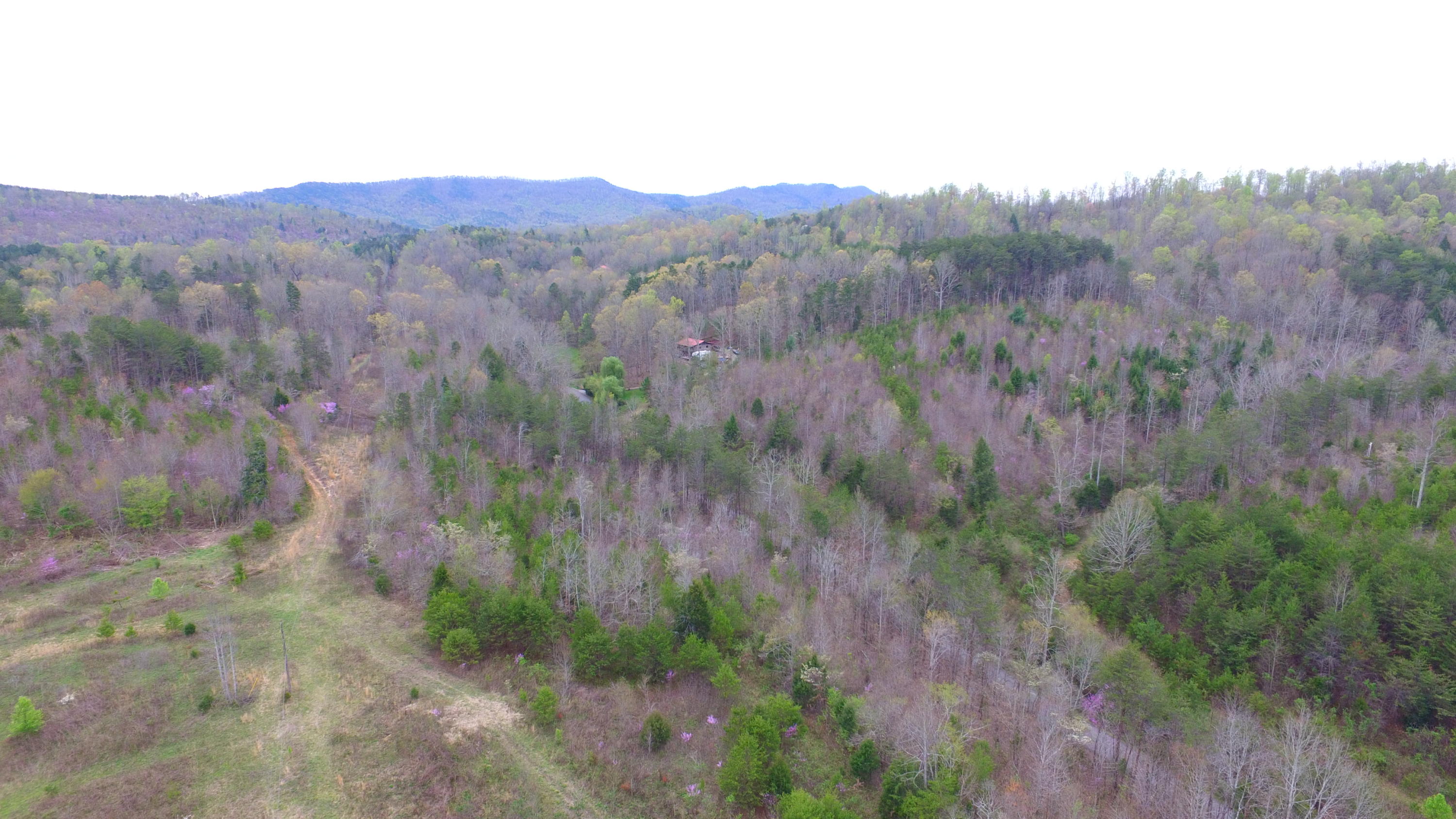 455 Three Point Road Vonore, TN 37885 - Photo 3 of 32 DJI_0037