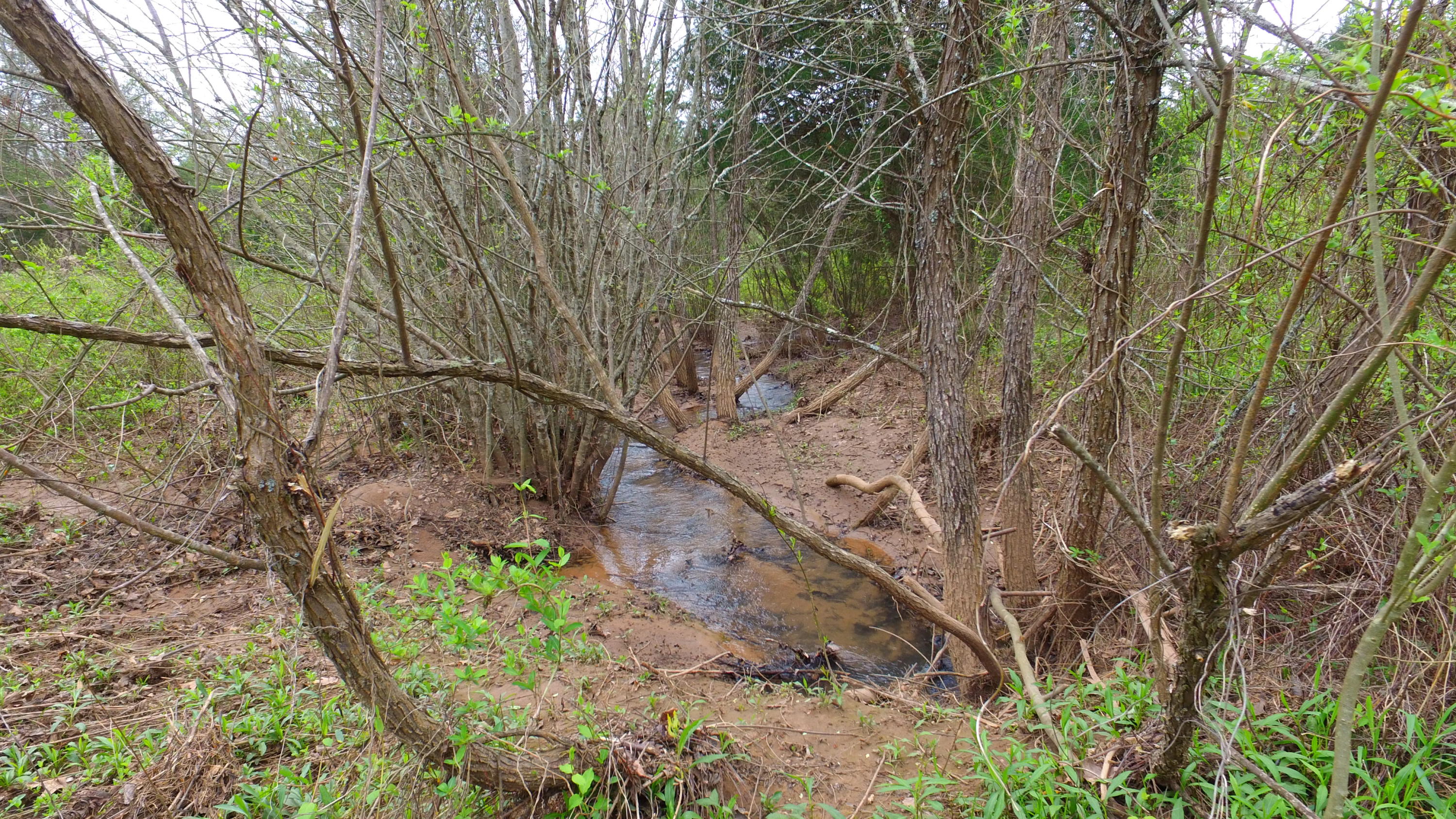 455 Three Point Road Vonore, TN 37885 - Photo 28 of 32 DJI_0071