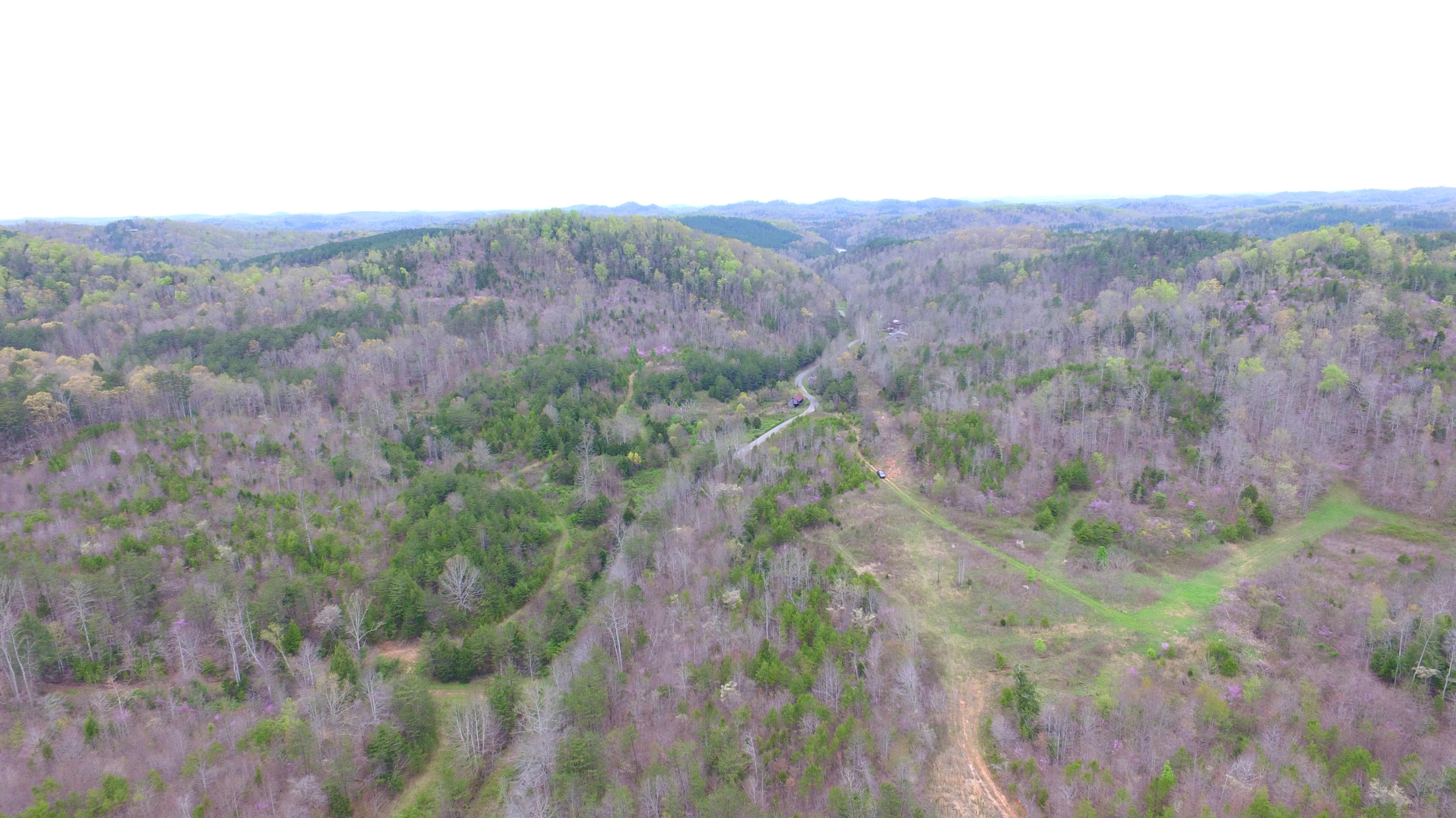 455 Three Point Road Vonore, TN 37885 - Photo 4 of 32 DJI_0038