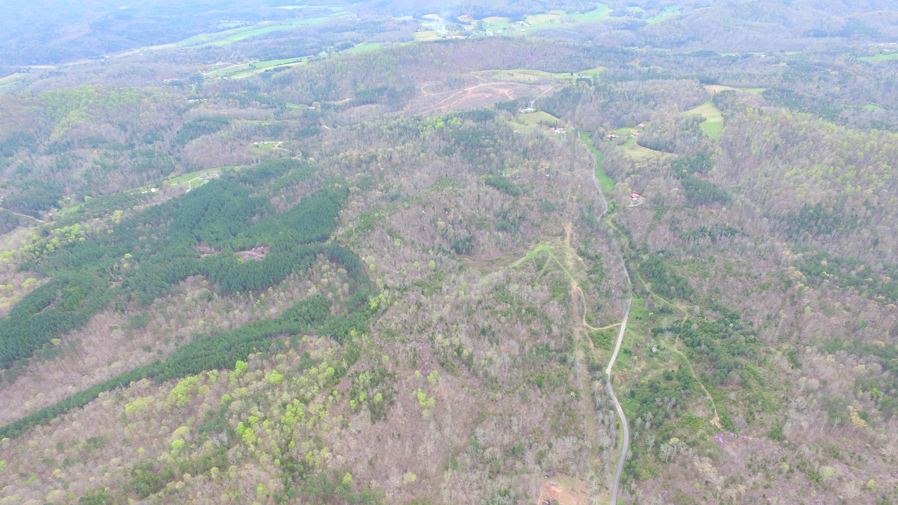 455 Three Point Road Vonore, TN 37885 - Photo 7 of 32 DJI_0046