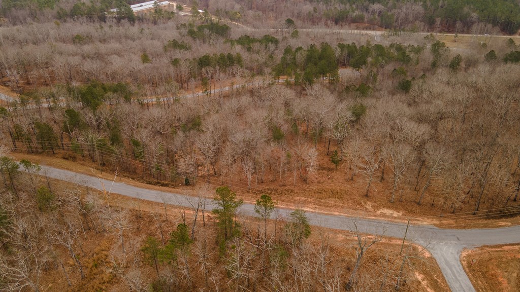 Lot 5 Blalock Mountain Road Talking Rock, GA 30175 - Photo 11 of 22