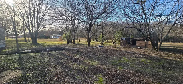 a view of a yard with a tree
