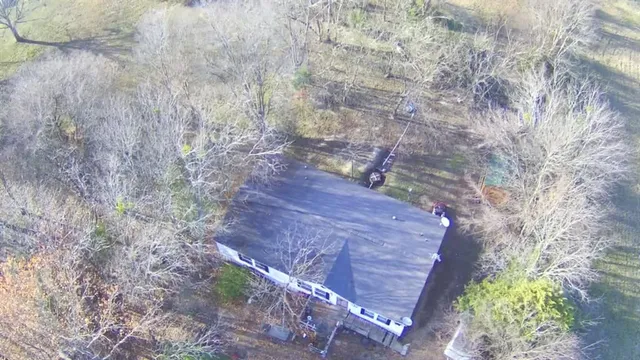 a close up of a flower in a garden