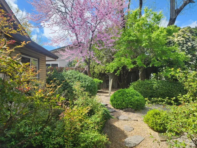 a view of a garden with plants