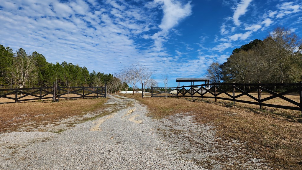 3662 Glen Chambers Road Florala, AL 36442 - Photo 6 of 48